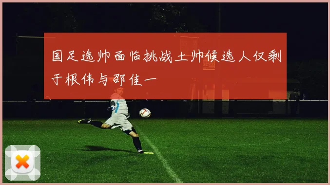 国足选帅面临挑战土帅候选人仅剩于根伟与邵佳一